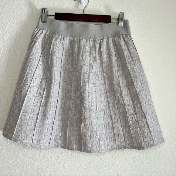 Hinge silver lined skirt 💗 EUC 💗 XS - Picture 1 of 7